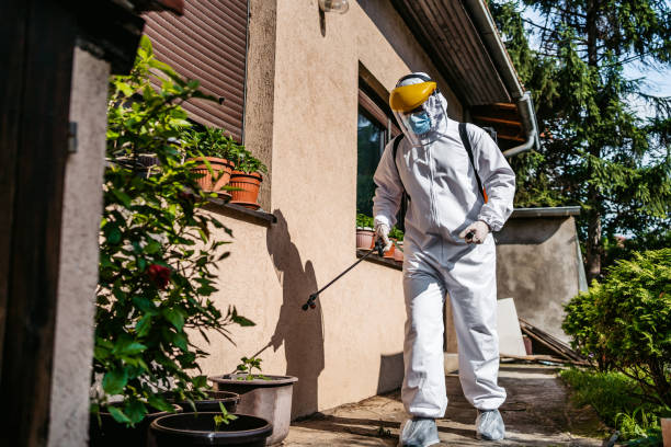 Best Mosquito Control Services  in Lansdale, PA