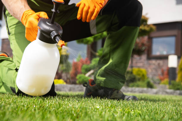 Professional Pest Control in Lansdale, PA