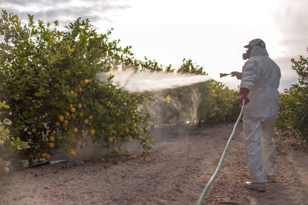 Best Wasp Removal Services  in Lansdale, PA