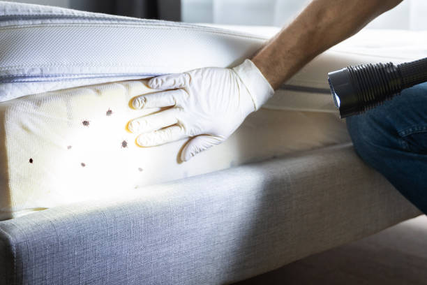 Best Pest Removal Services  in Lansdale, PA