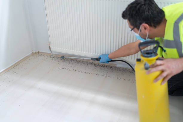 Best Ant Control Services  in Lansdale, PA