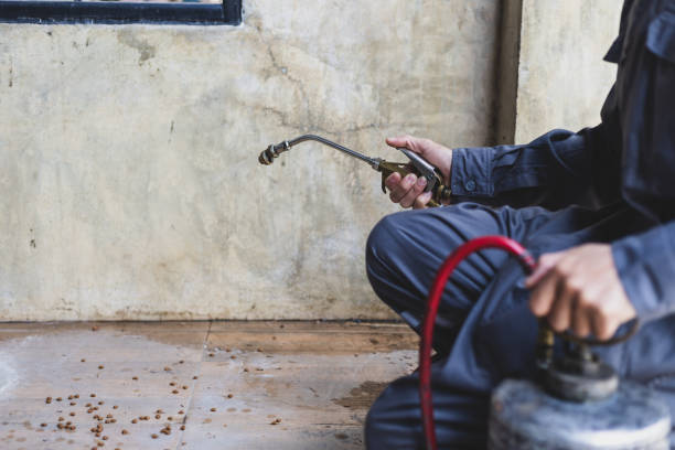 Best Mosquito Control Services  in Lansdale, PA