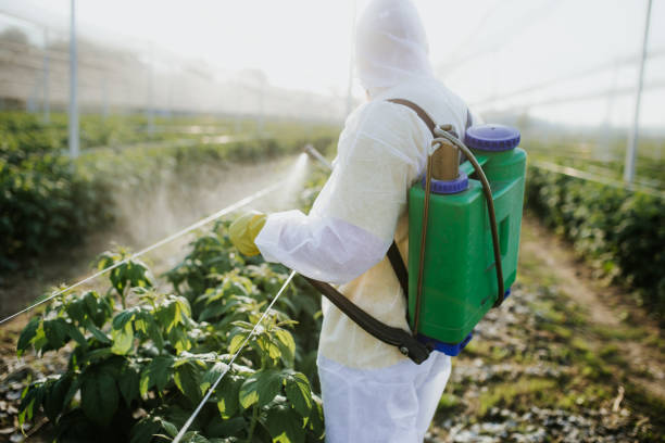  Lansdale, PA Pest Control Pros